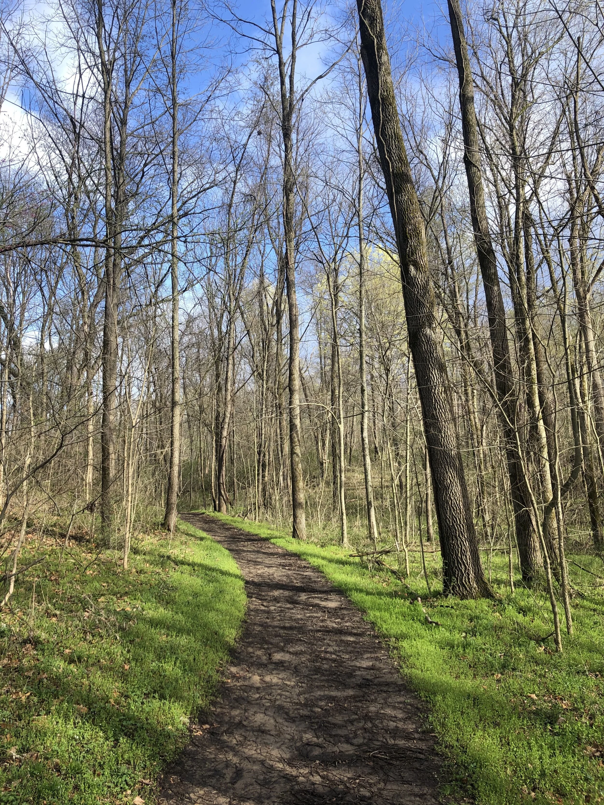 Spring Is Rolling In