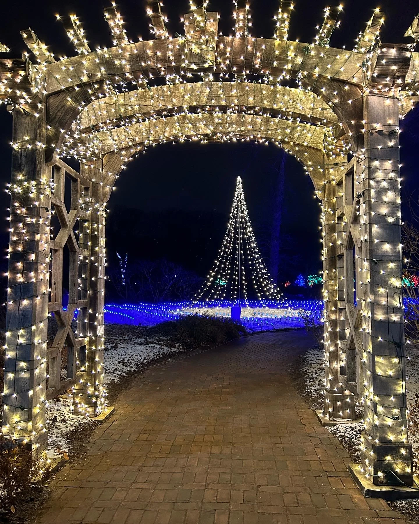 A Bit of Holiday Magic