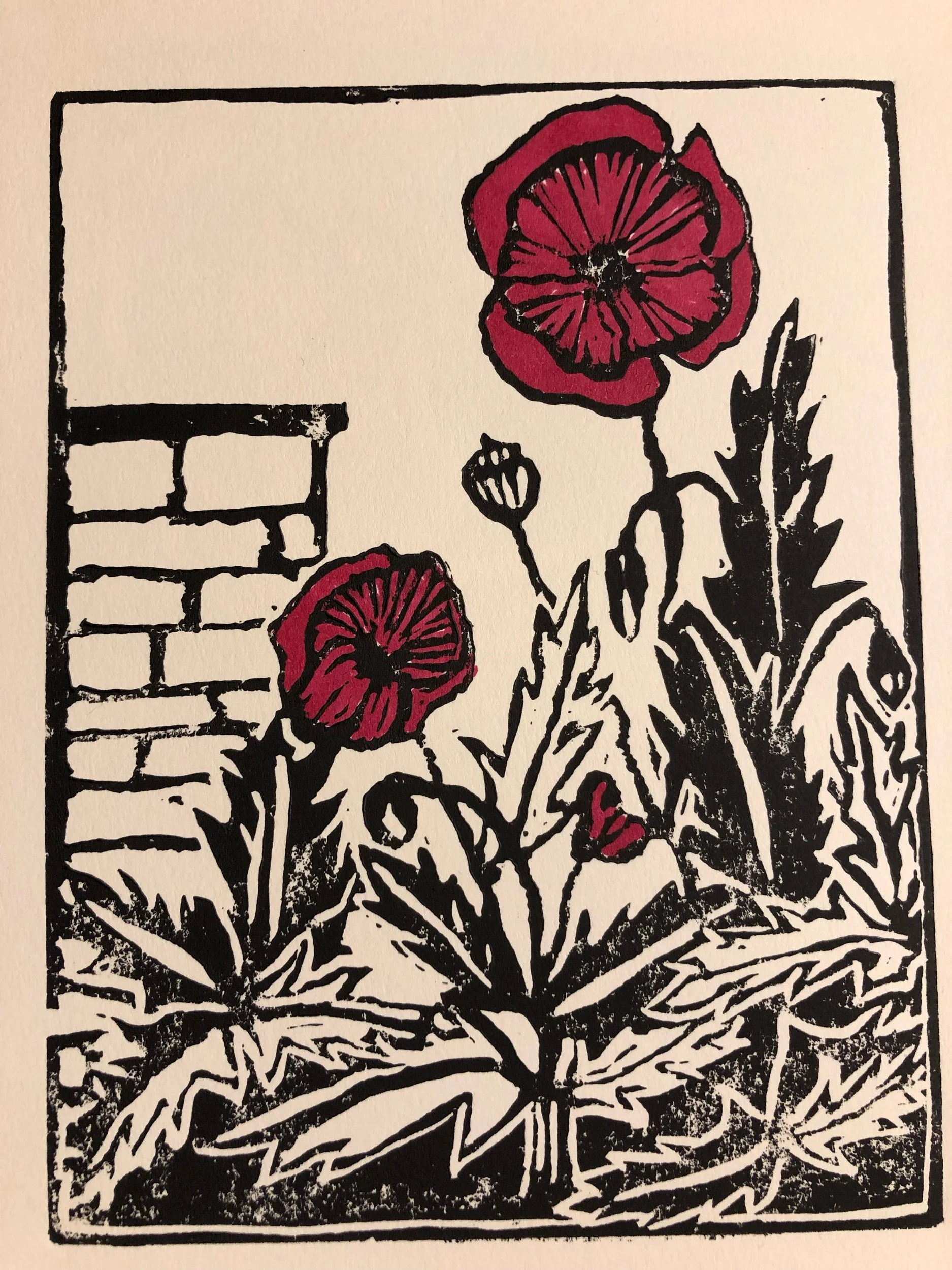 Poppies