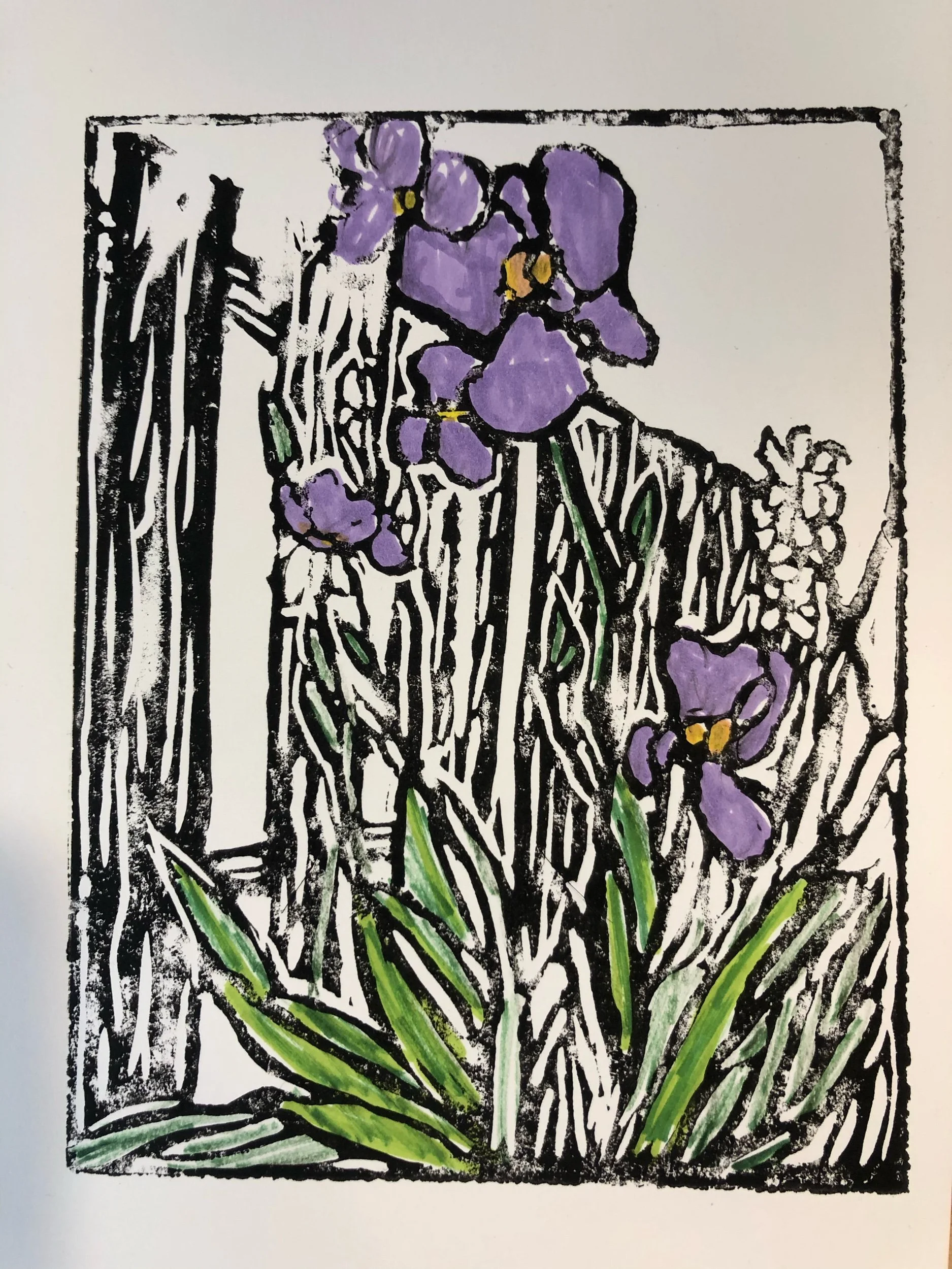 Irises 