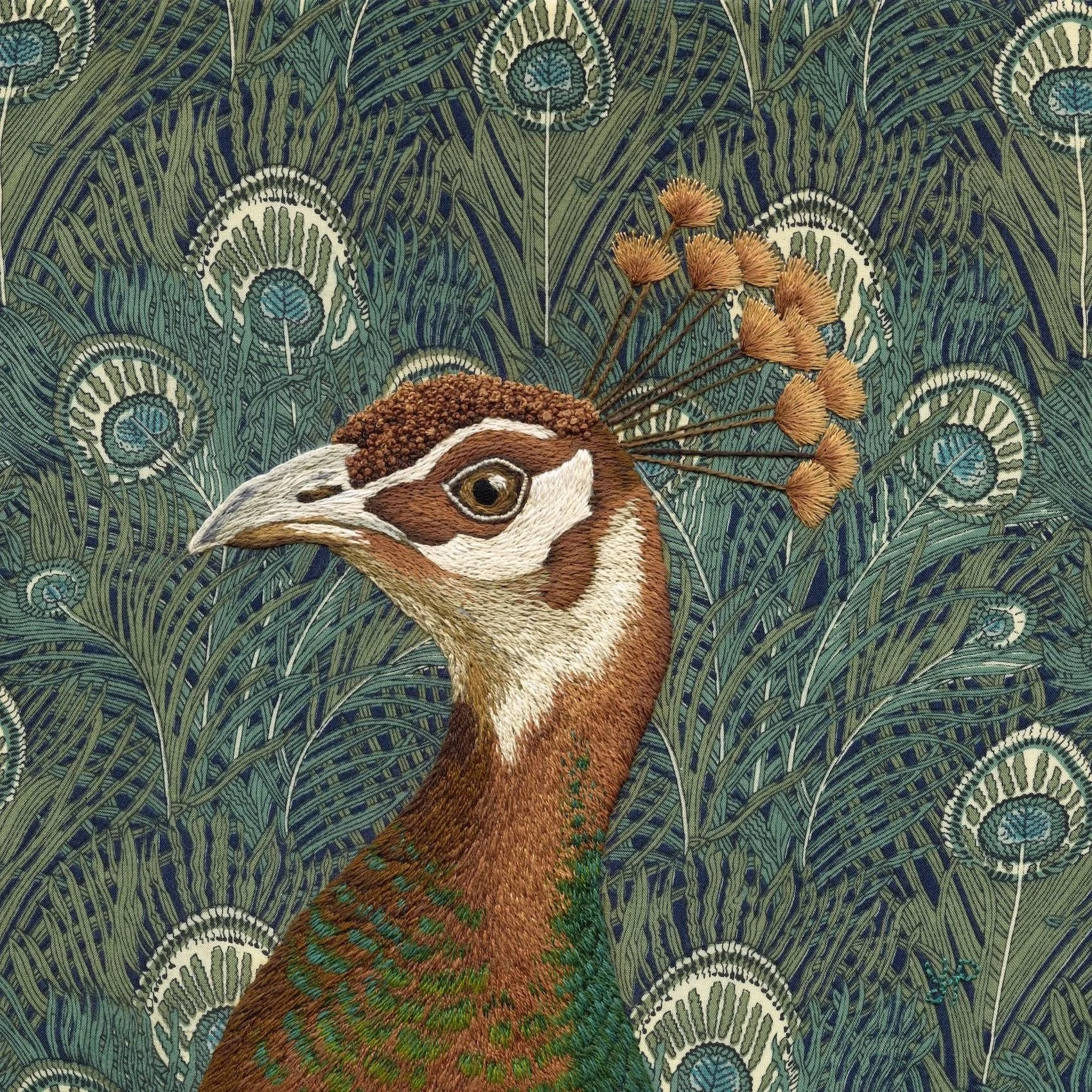 Peahen - high res.jpg