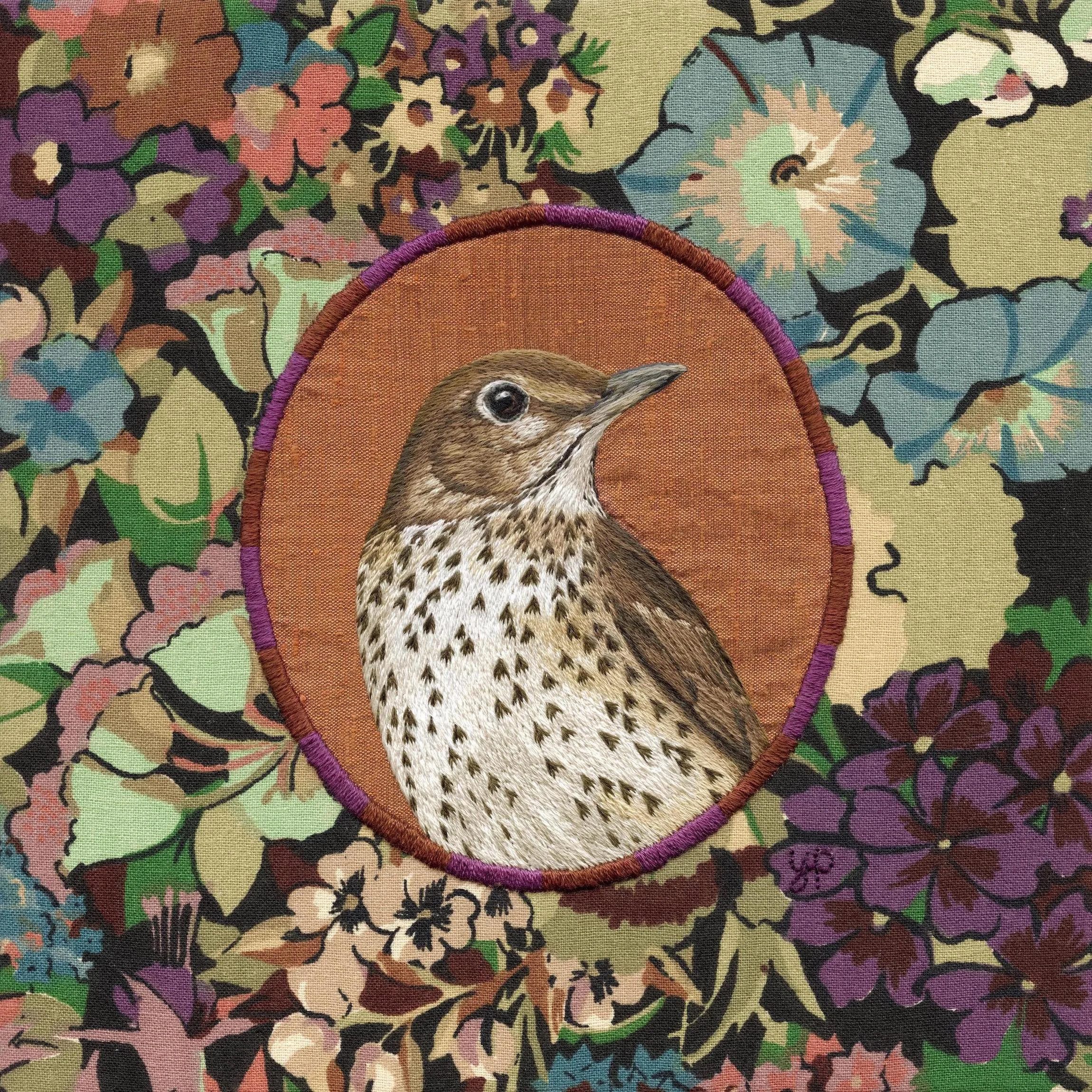 Song Thrush - low res.jpeg