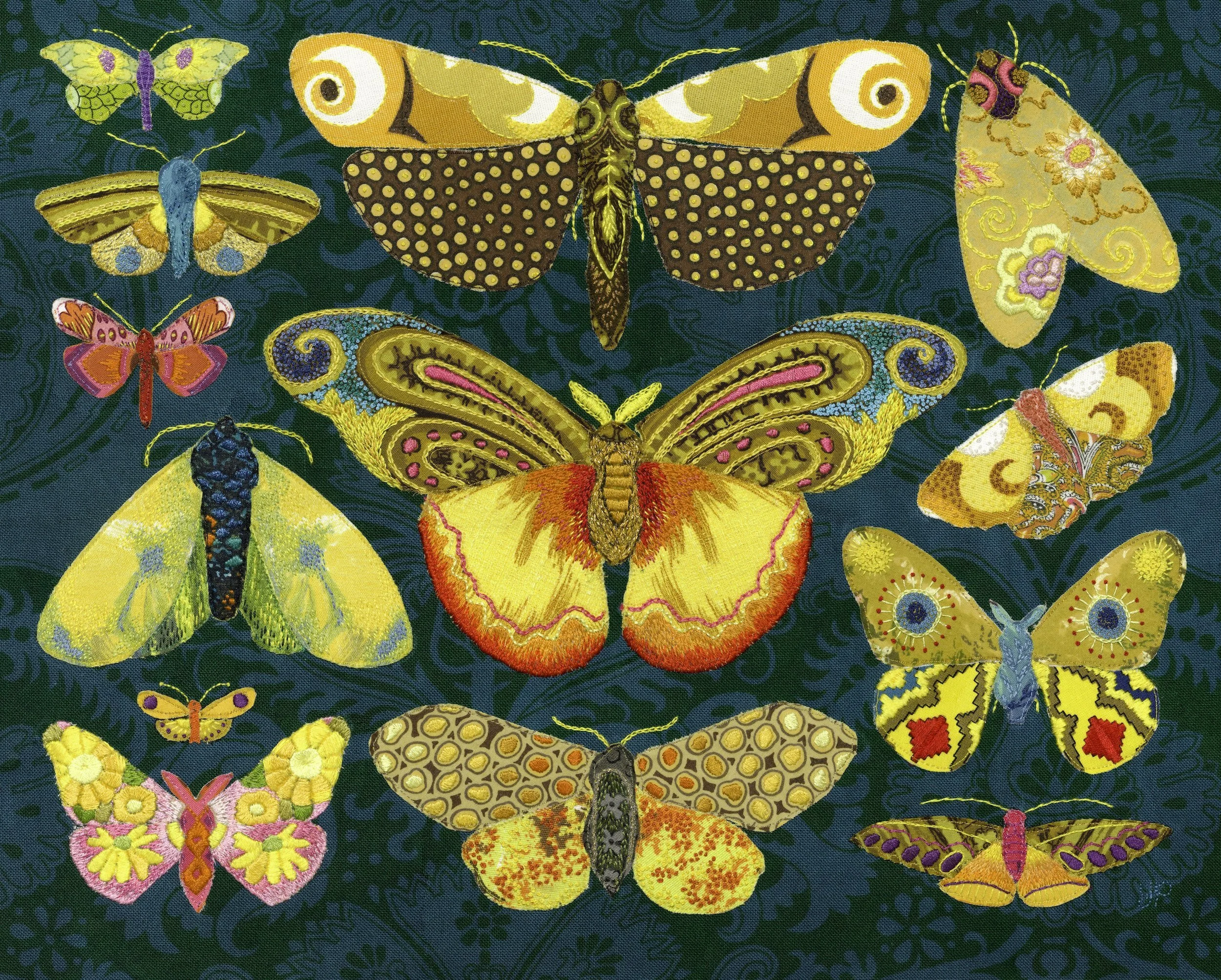 Lepidoptera II - low res.jpeg