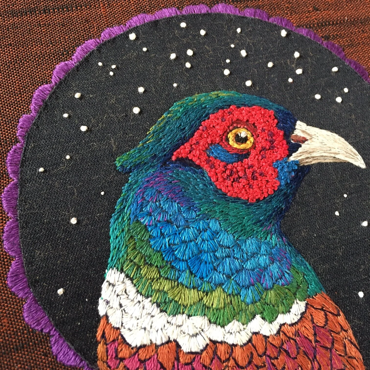 Winter Pheasant close up.JPG