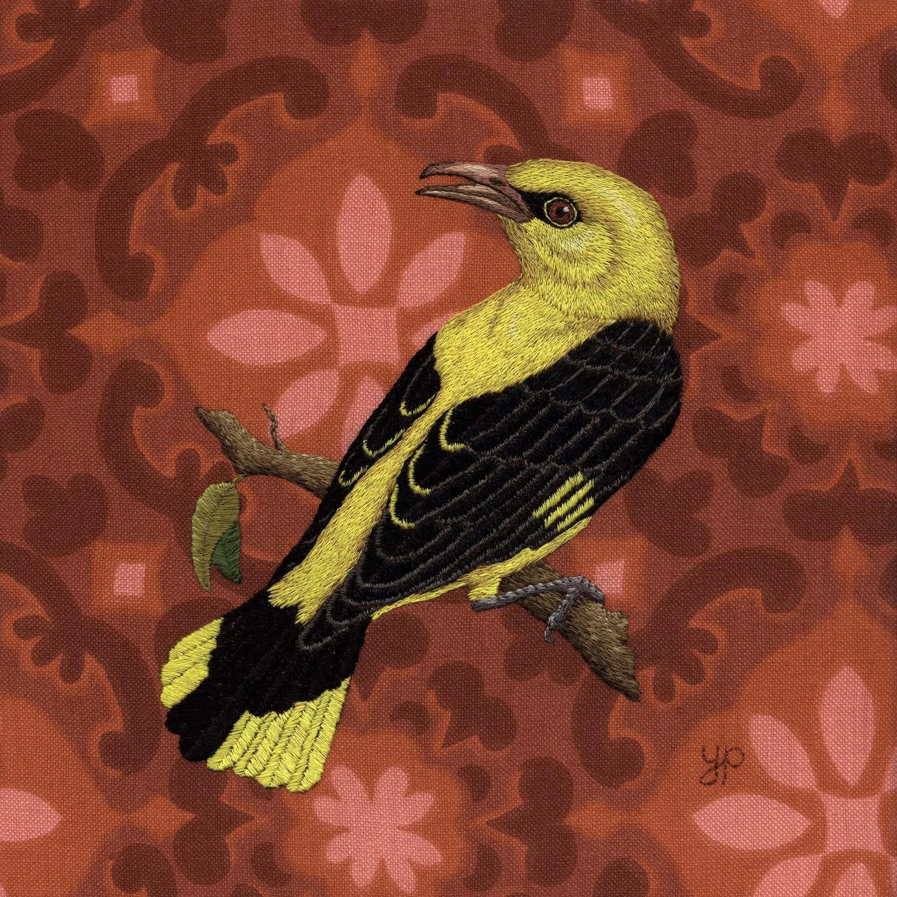 Golden Oriole - v low res.jpeg