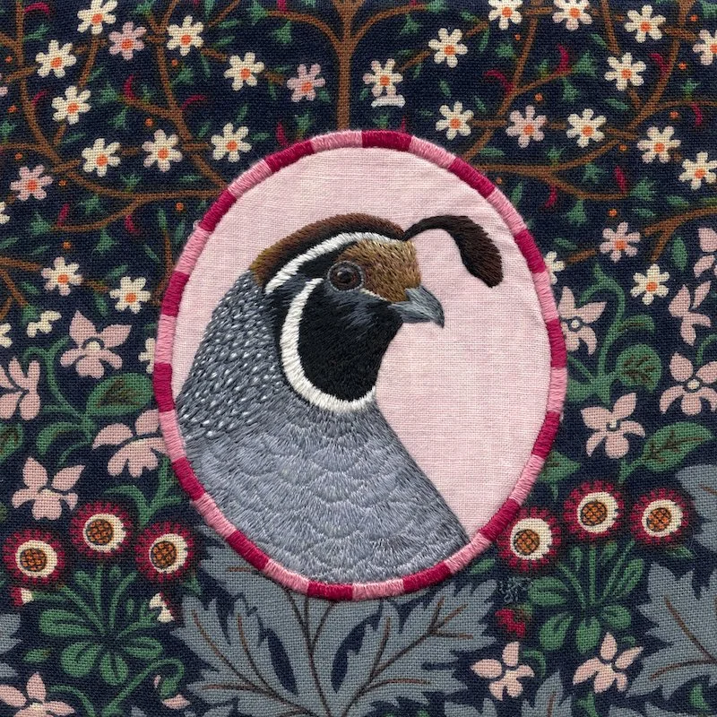 California Quail - low res.jpeg