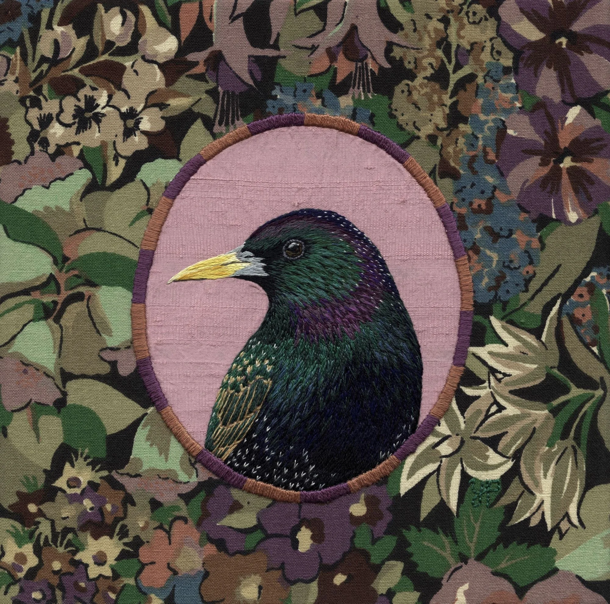 Starling - low res.jpeg