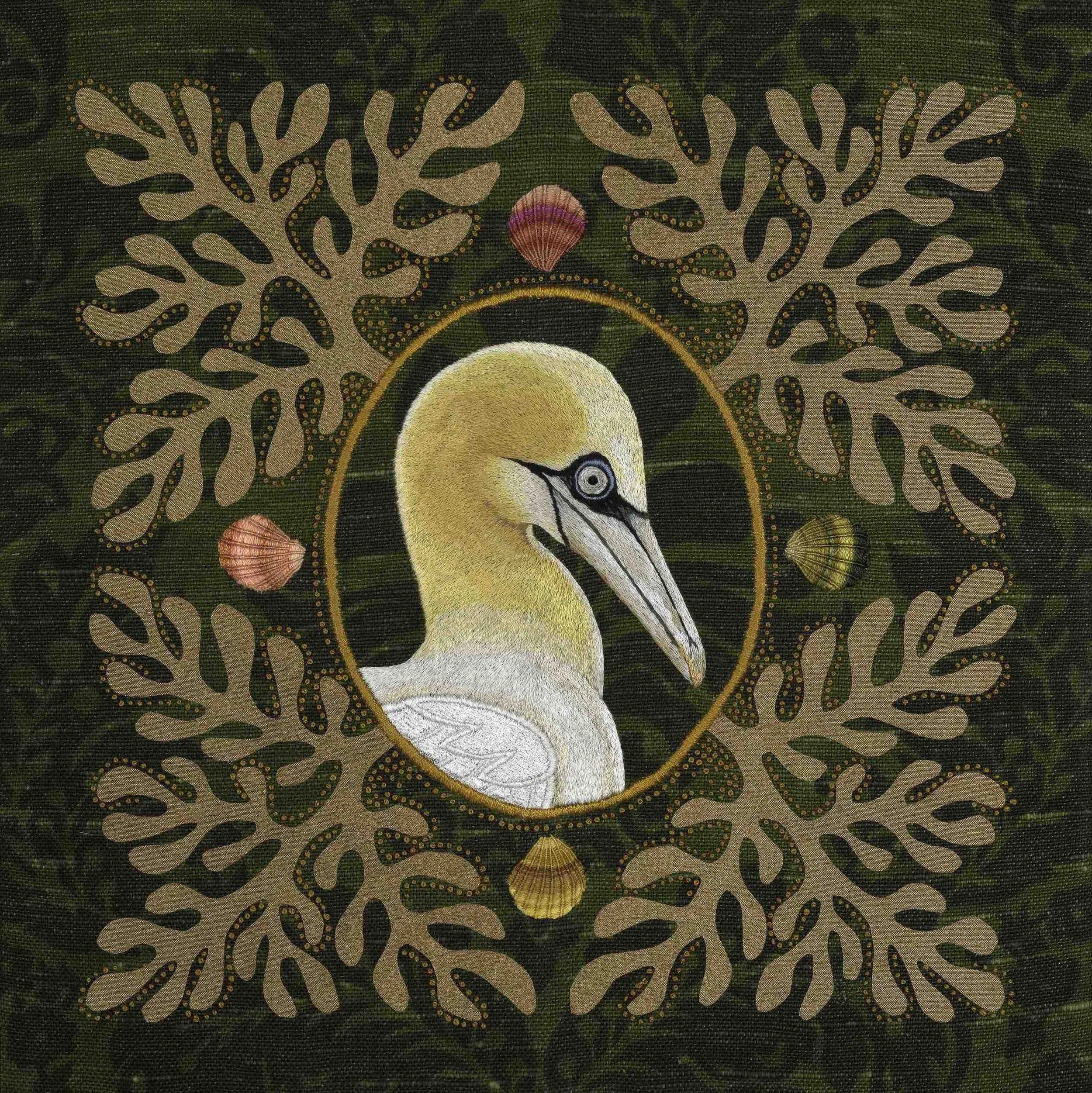Northern Gannet - low res.jpg