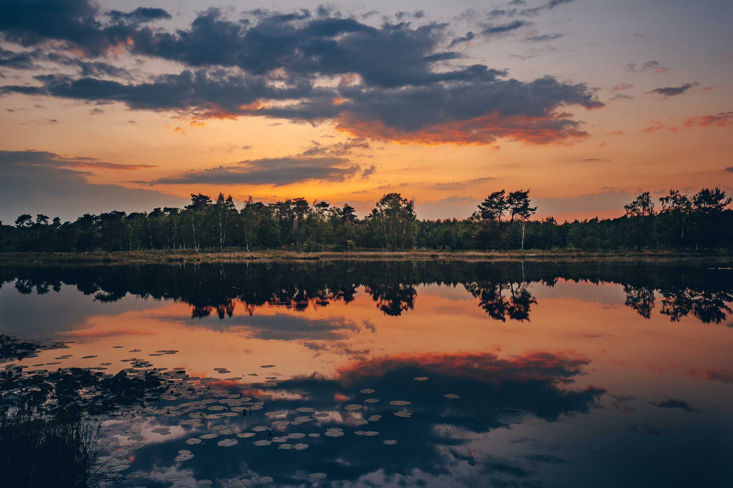 De Beegderheide. Probaly my favorite landscape location close to home.