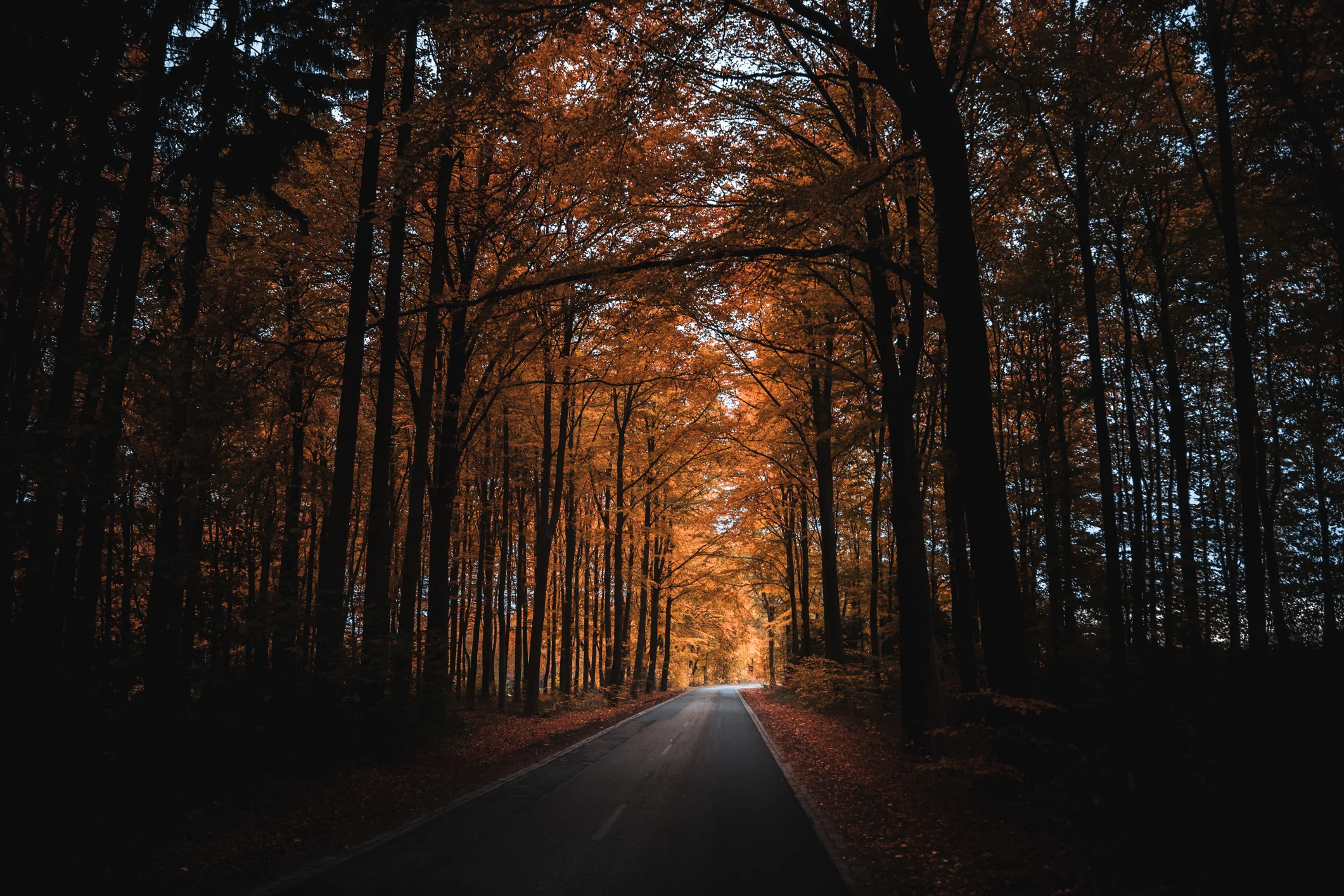 The light was just perfect…