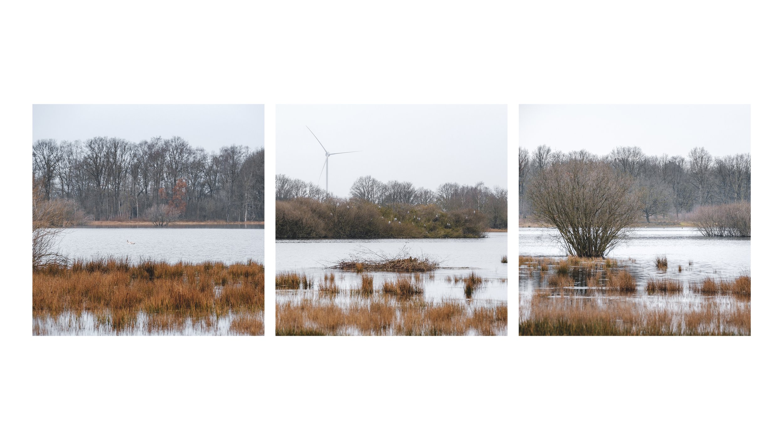 Untitled-2.jpg