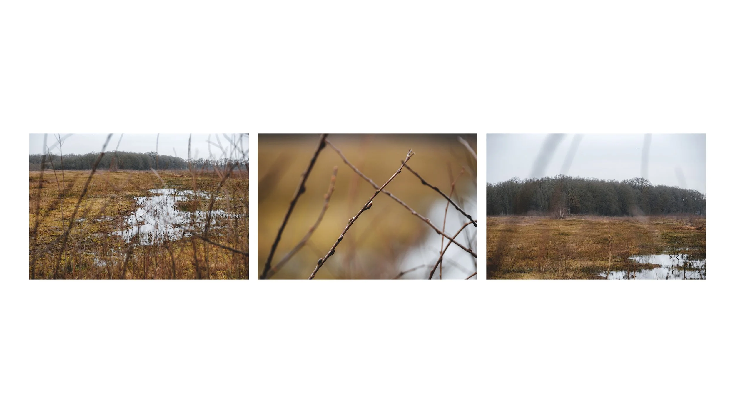 Untitled-3.jpg