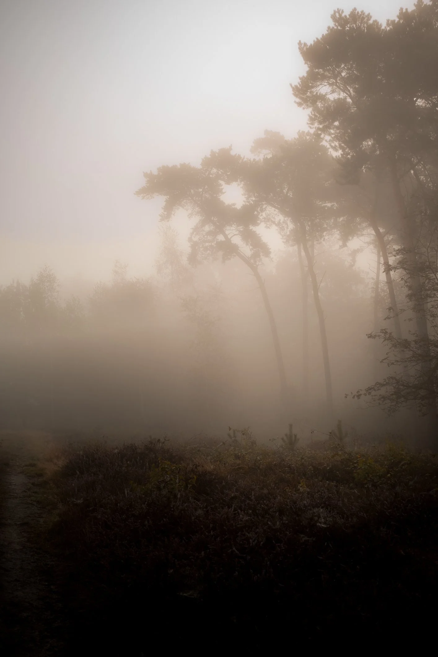 DSCF4359.jpg