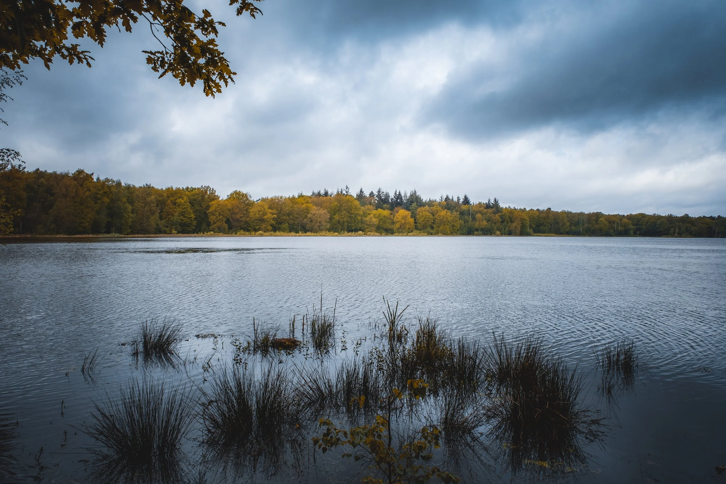 DSCF2611.jpg