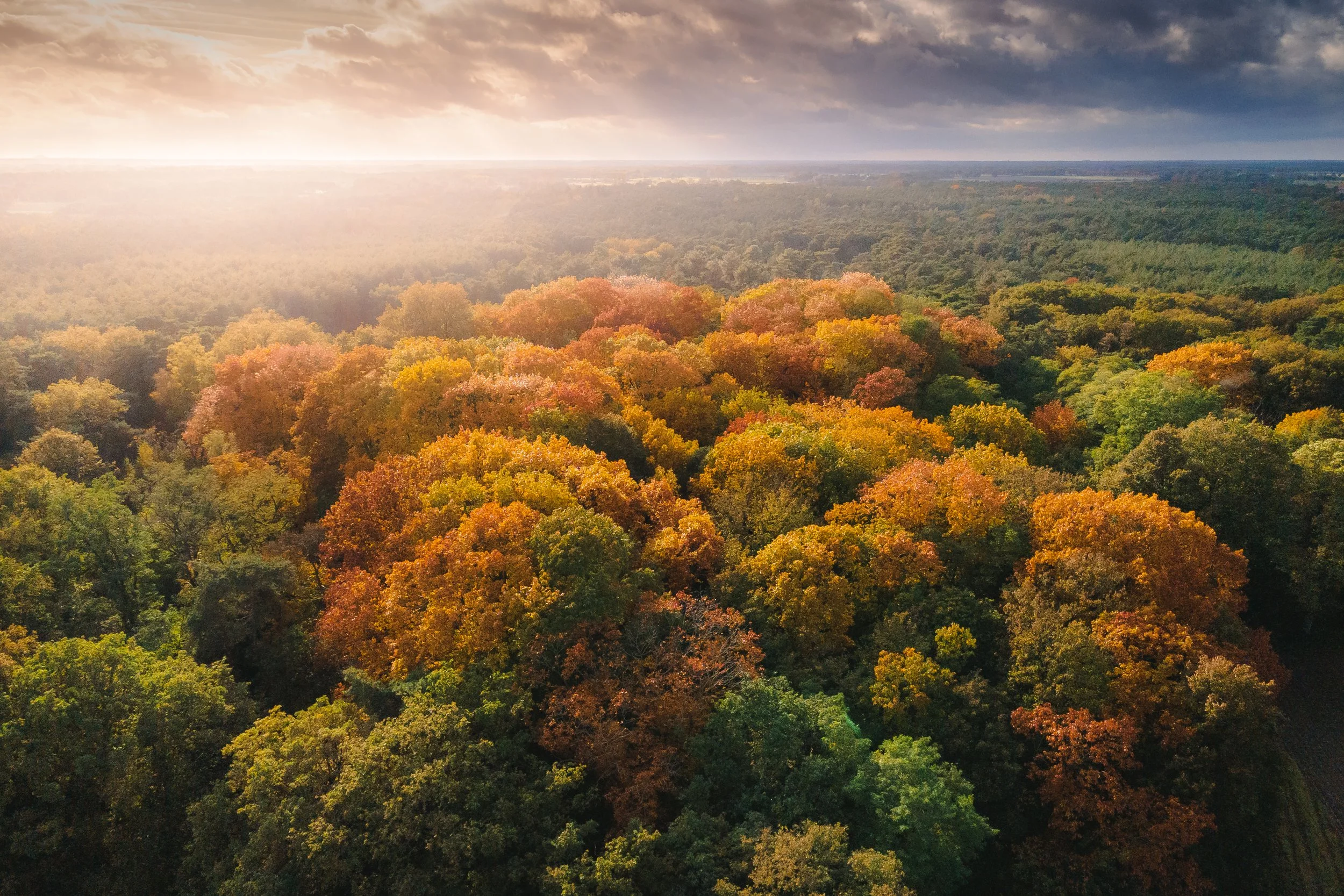 DJI_0651.jpg