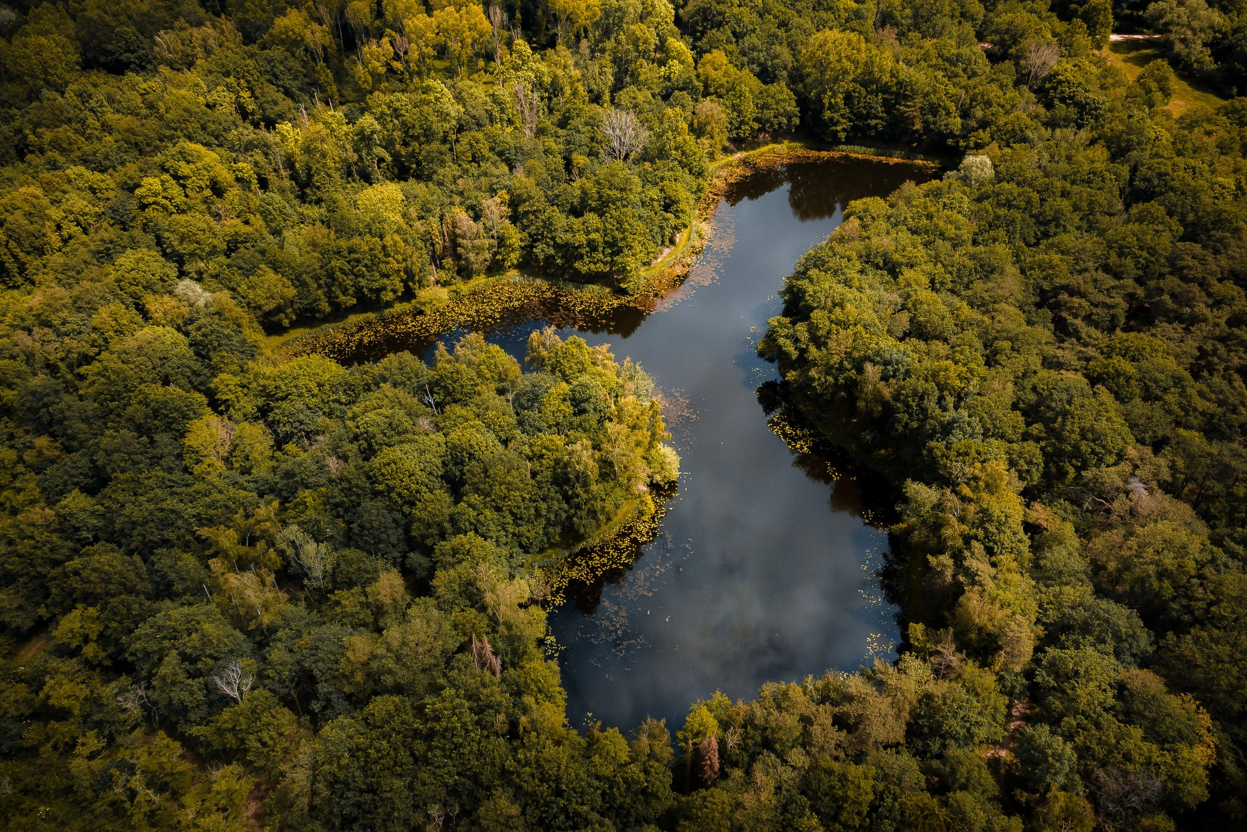DJI_0354.jpg