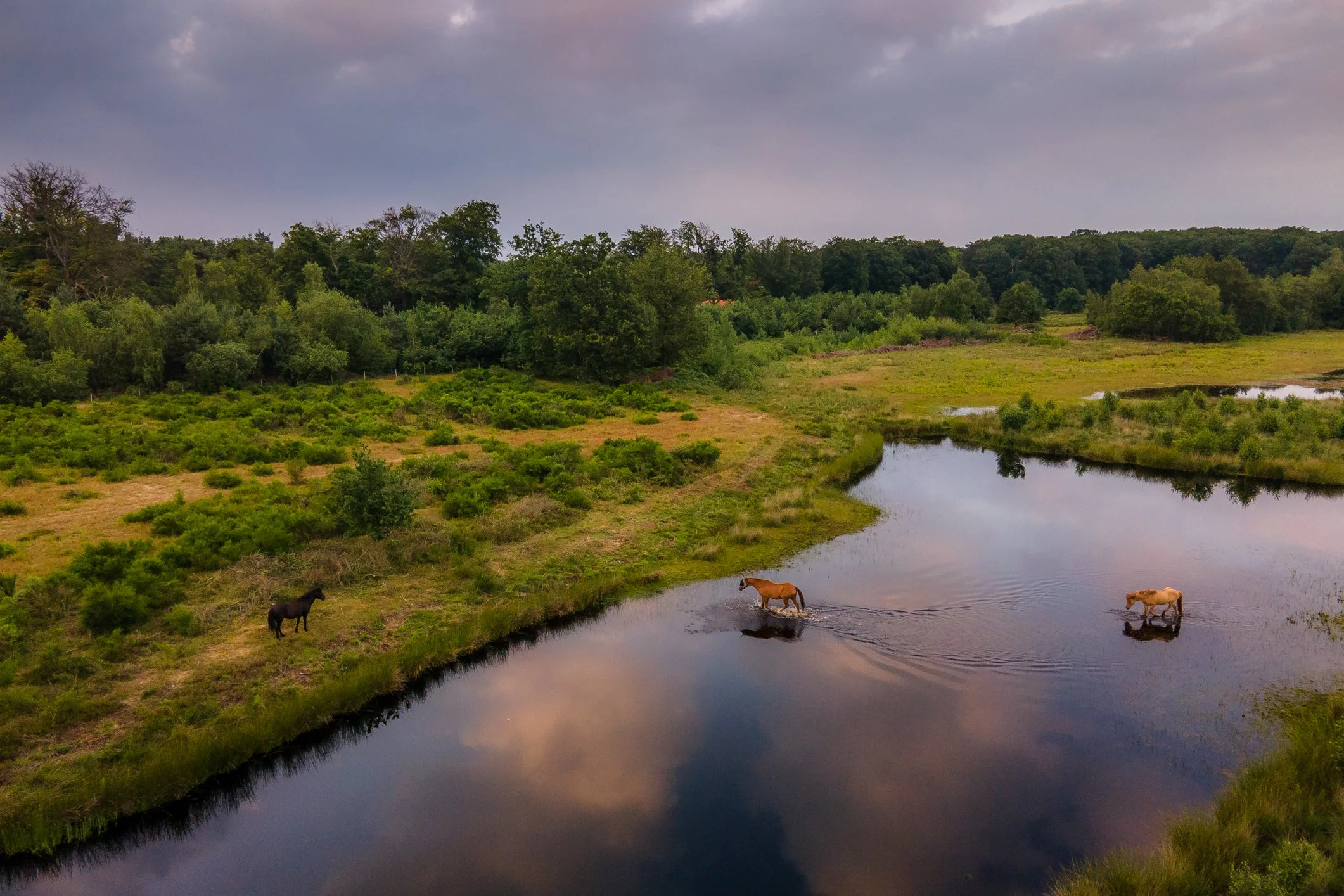 DJI_0059.jpg