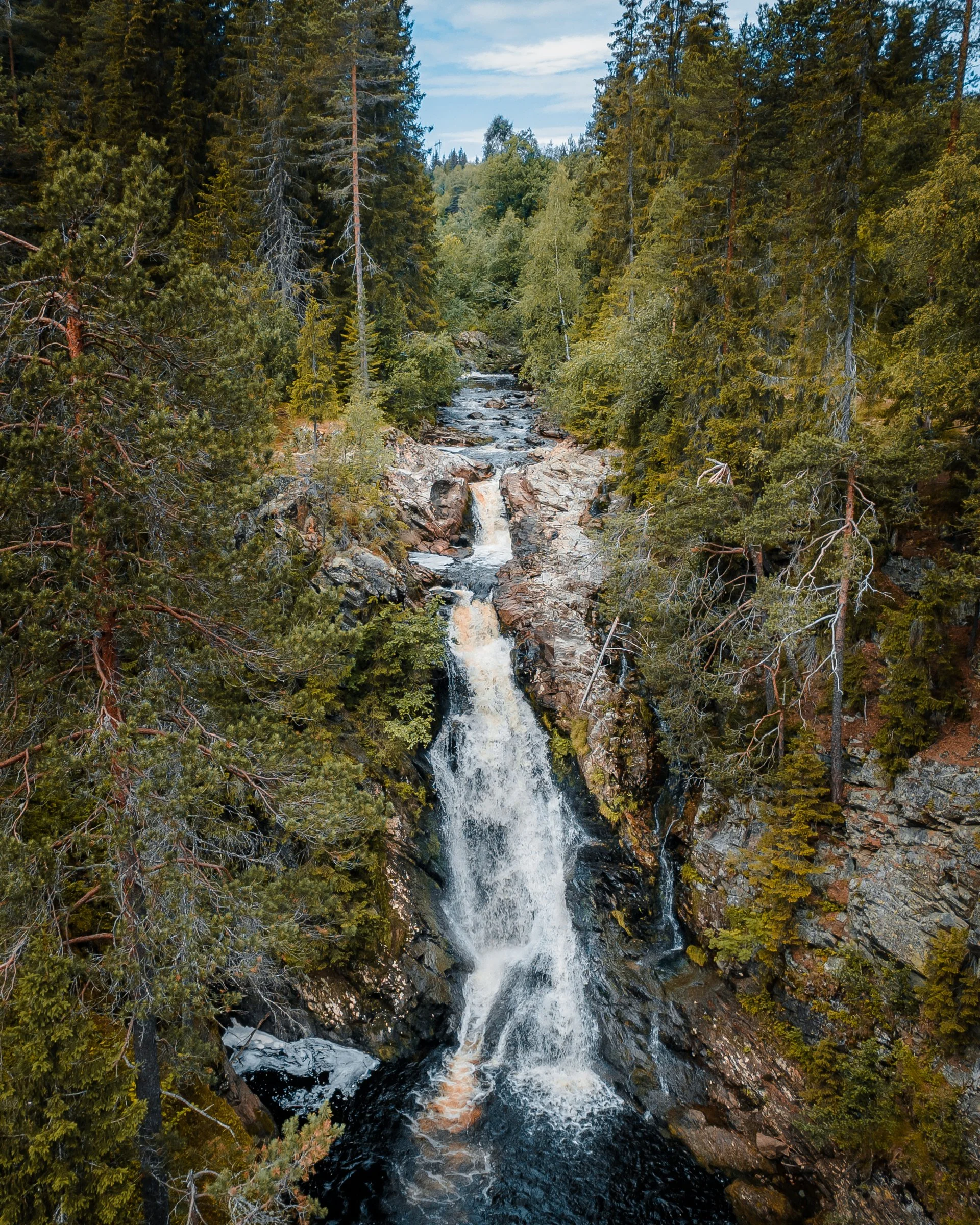 DJI_0480.jpg