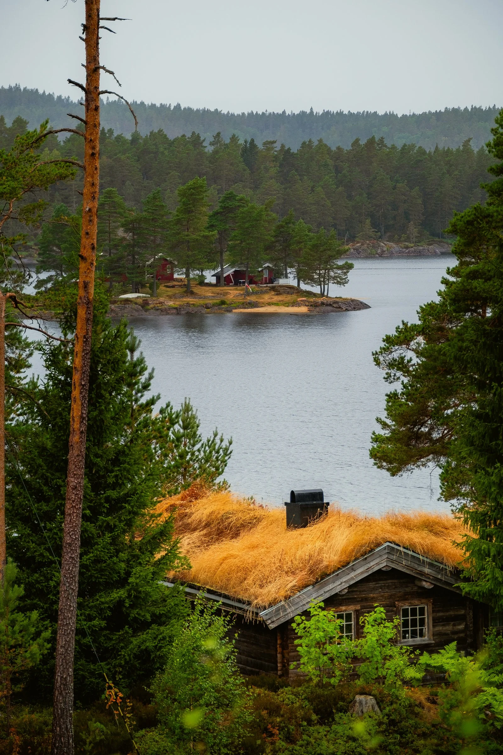 DSCF9520.jpg