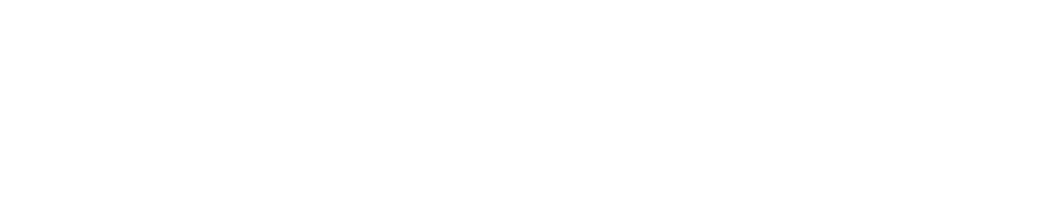 The Original Marini's Empanada House — Houston