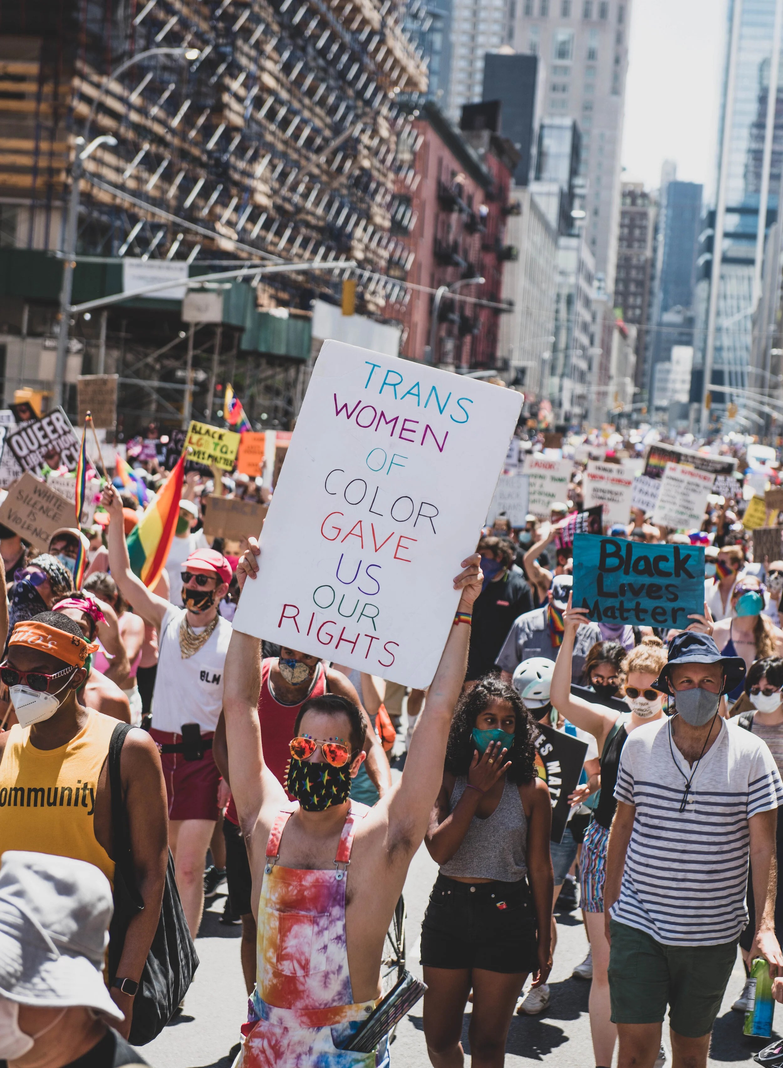 Stonewall's million-dollar year