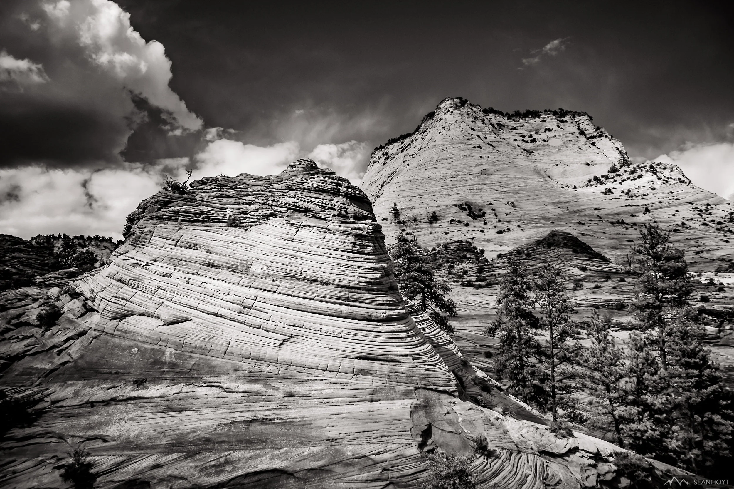 sean-hoyt-checkerboard-mesa-utah--SH3_0890.jpg