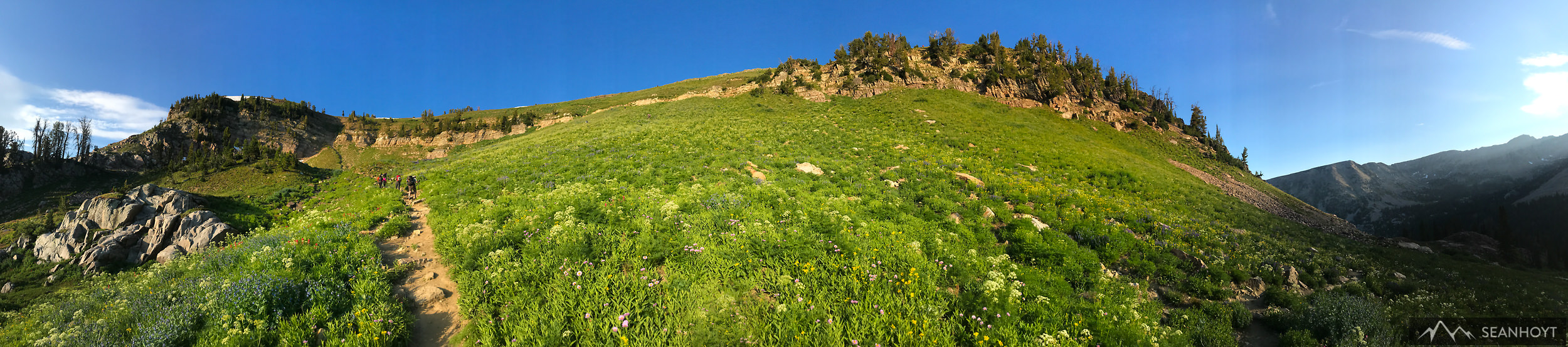 Seriously, this place is amazing. Here's the little trail just before the switchbacks. The next photo is up on the ridge at middle of this shot.