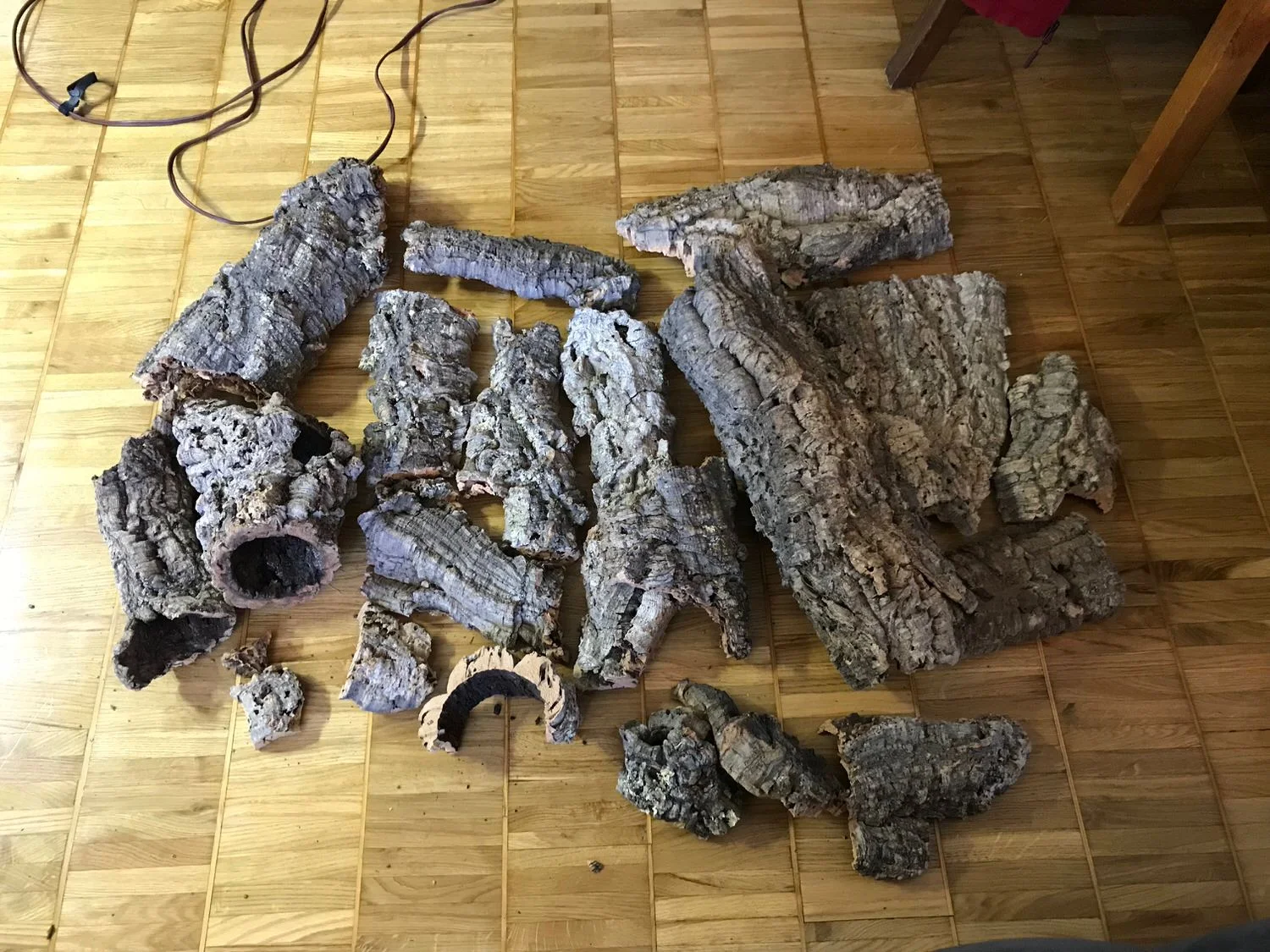 Wholesale cork by the pound from NEHERP - I specified mostly “flats” with a few “rounds”. I love the rounds in my setup which look like little caves.
