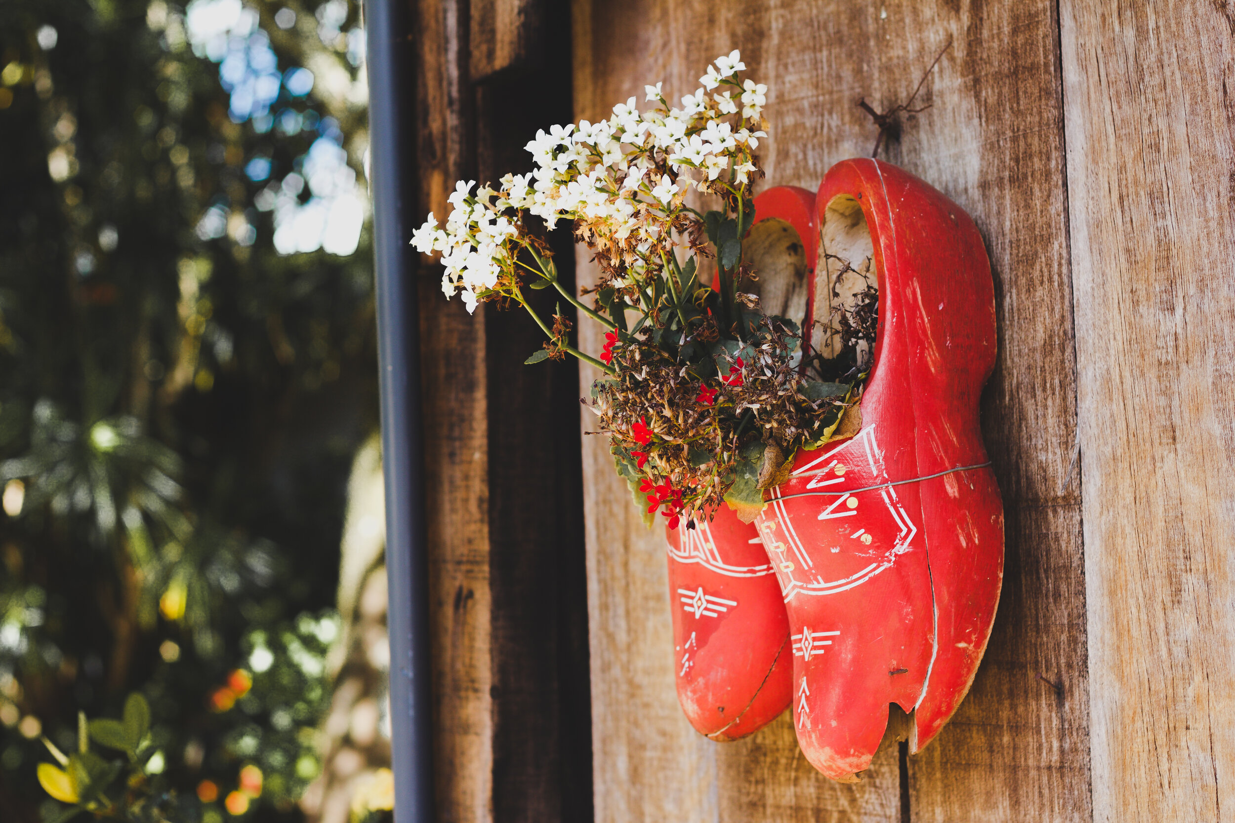 Photo by Silvia Trigo on Unsplash.