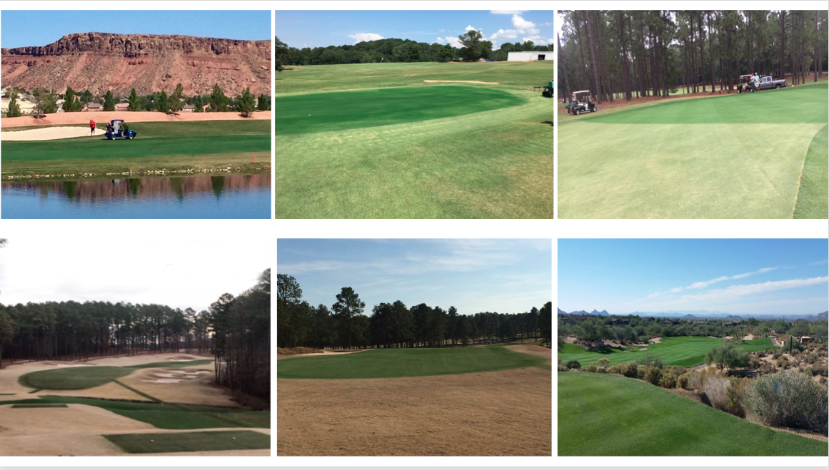 Endurant organic colorants are turf pigments that safely and effectively improve turfgrass aesthetics. The professional's choice in lawn colorants due to its natural, rich hues, Endurant paint gives your turf or lawn a healthy and fresh look, particularly in times of winter dormancy, drought, listing a property for sale or instead of overseeding. Nobody wants brown grass! We also offer a popular Home Paint expertly formulated for landscapers and homeowners. Because each course has a variety of needs, we’d like to discuss which blend/s and amounts work for you. Contact information below!