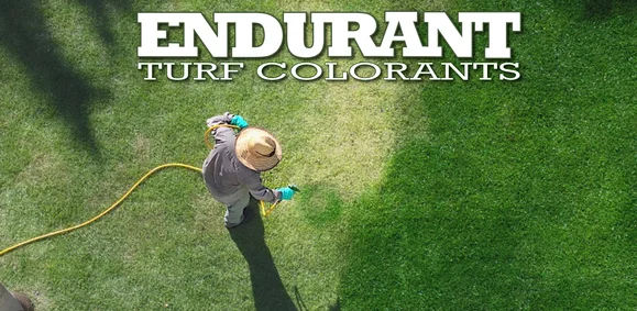 Home endurant.jpg