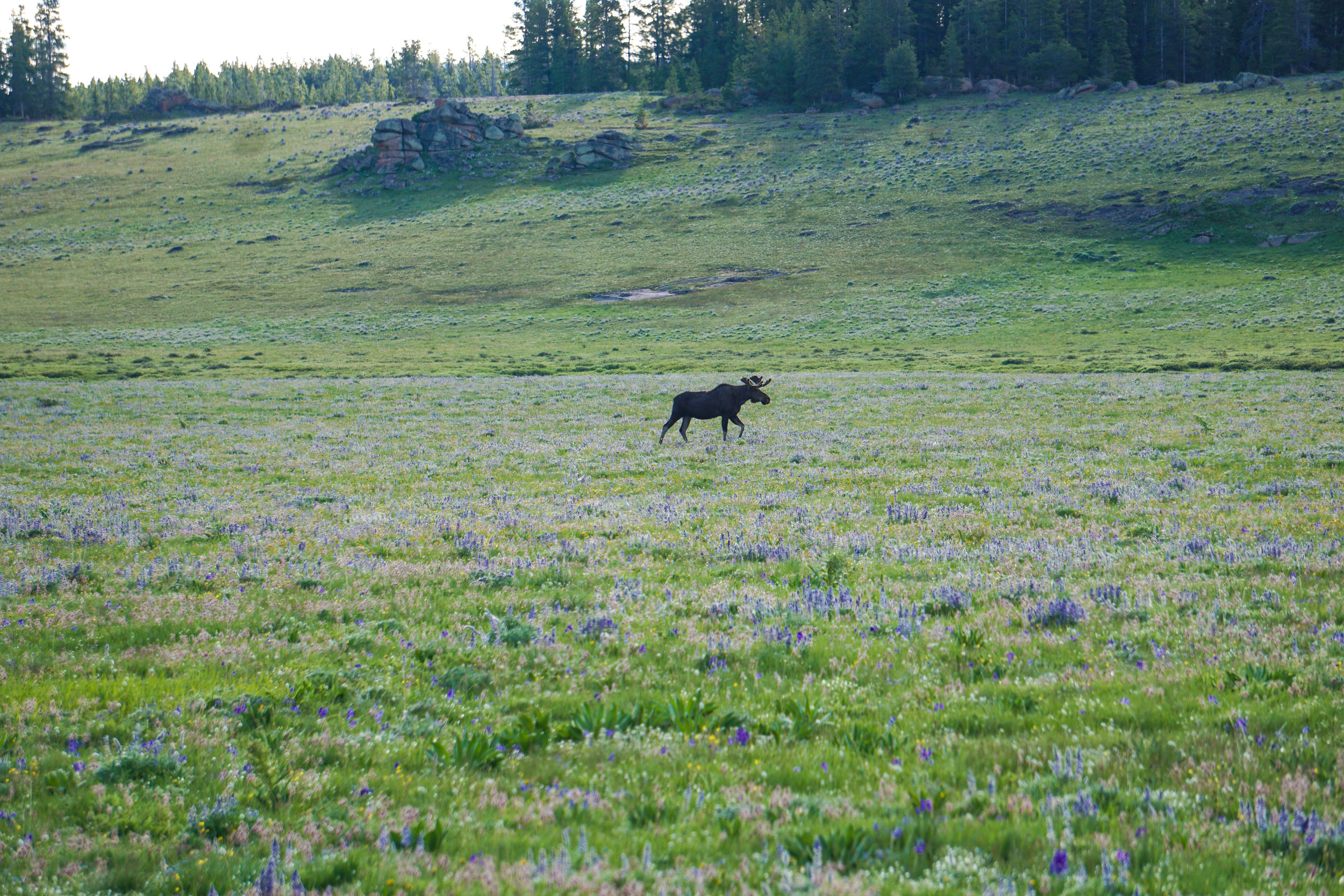 Road-trip-Wyoming-23.jpg