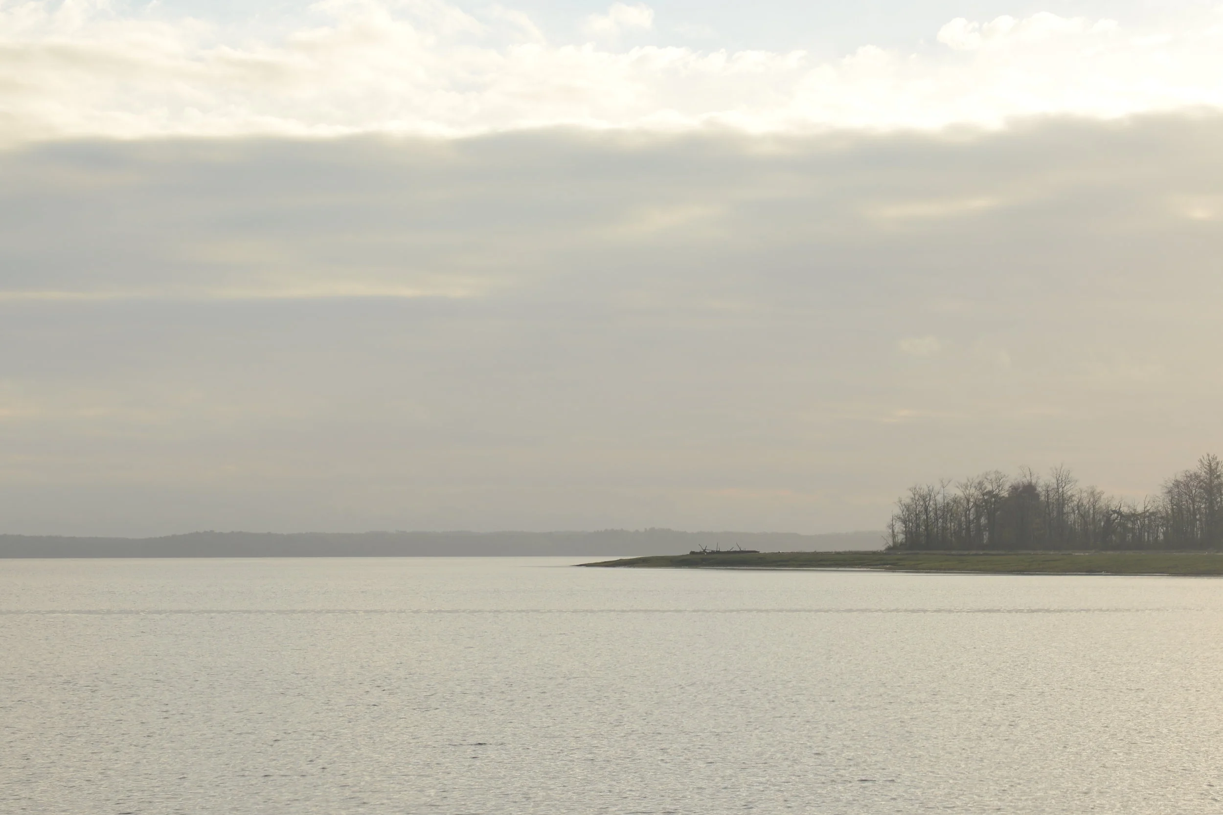 Calm mornings on great bay are absolutely breathtaking.&nbsp; Even though all appears to be peaceful and well, this estuary is at risk.&nbsp;&nbsp;Beneath the waters, eelgrass populations continue to decline and oyster numbers have plummeted.&nbsp; …