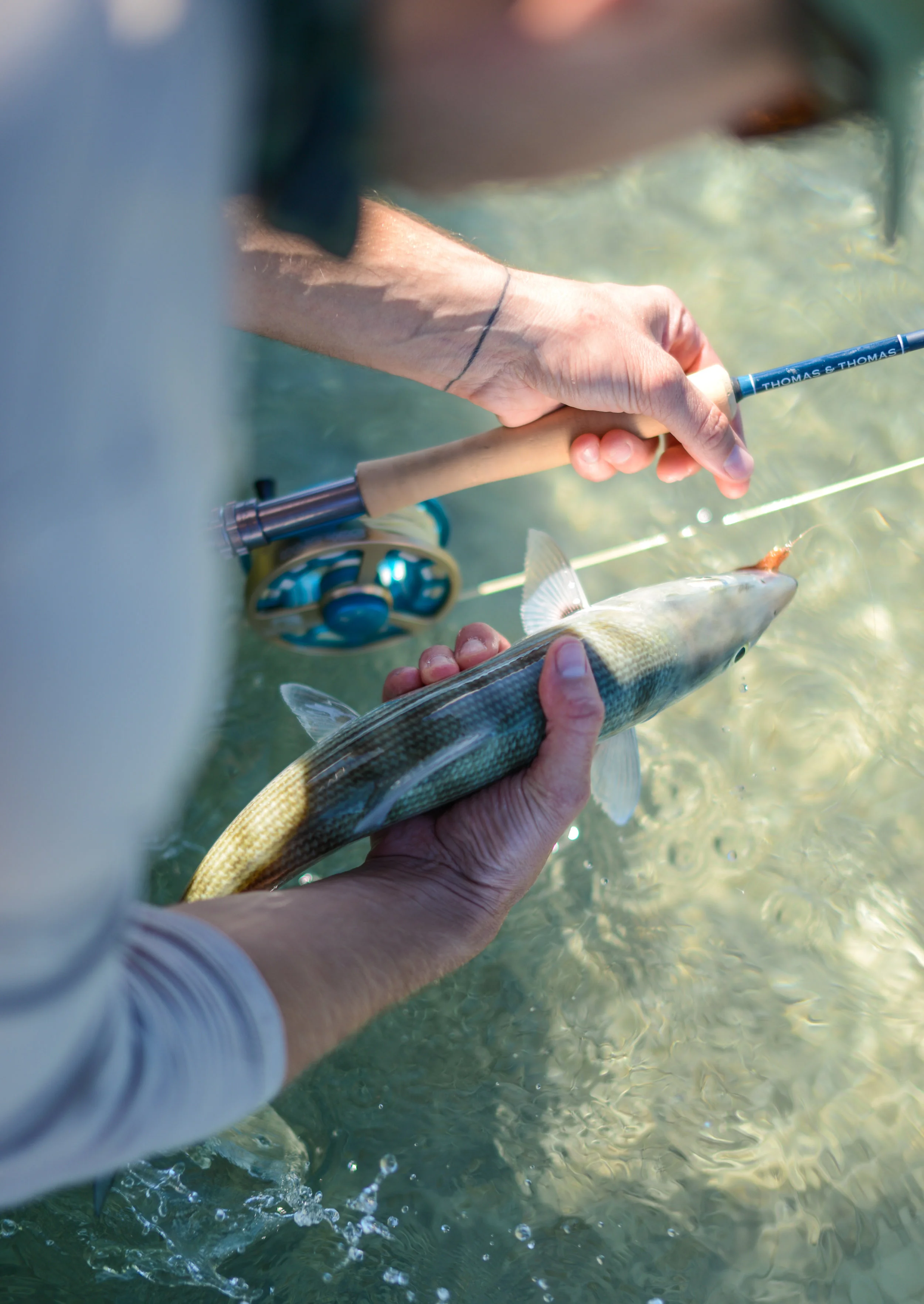 Bonefish all day, weather was perfect with slicked out conditions and full sun for 6 days. 