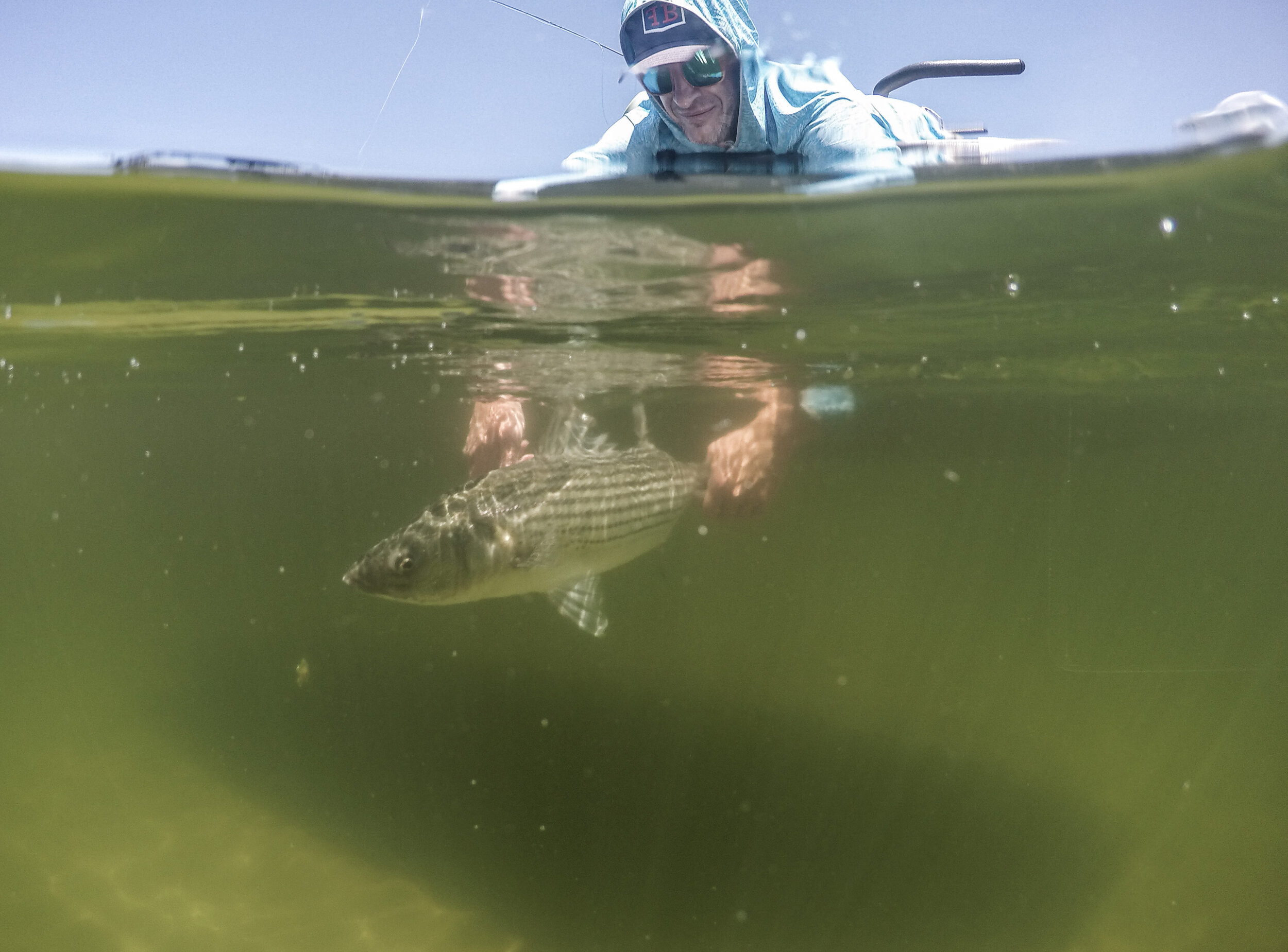 Soul Fly Outfitters — What to Expect Fly Fishing for Striped Bass in Maine