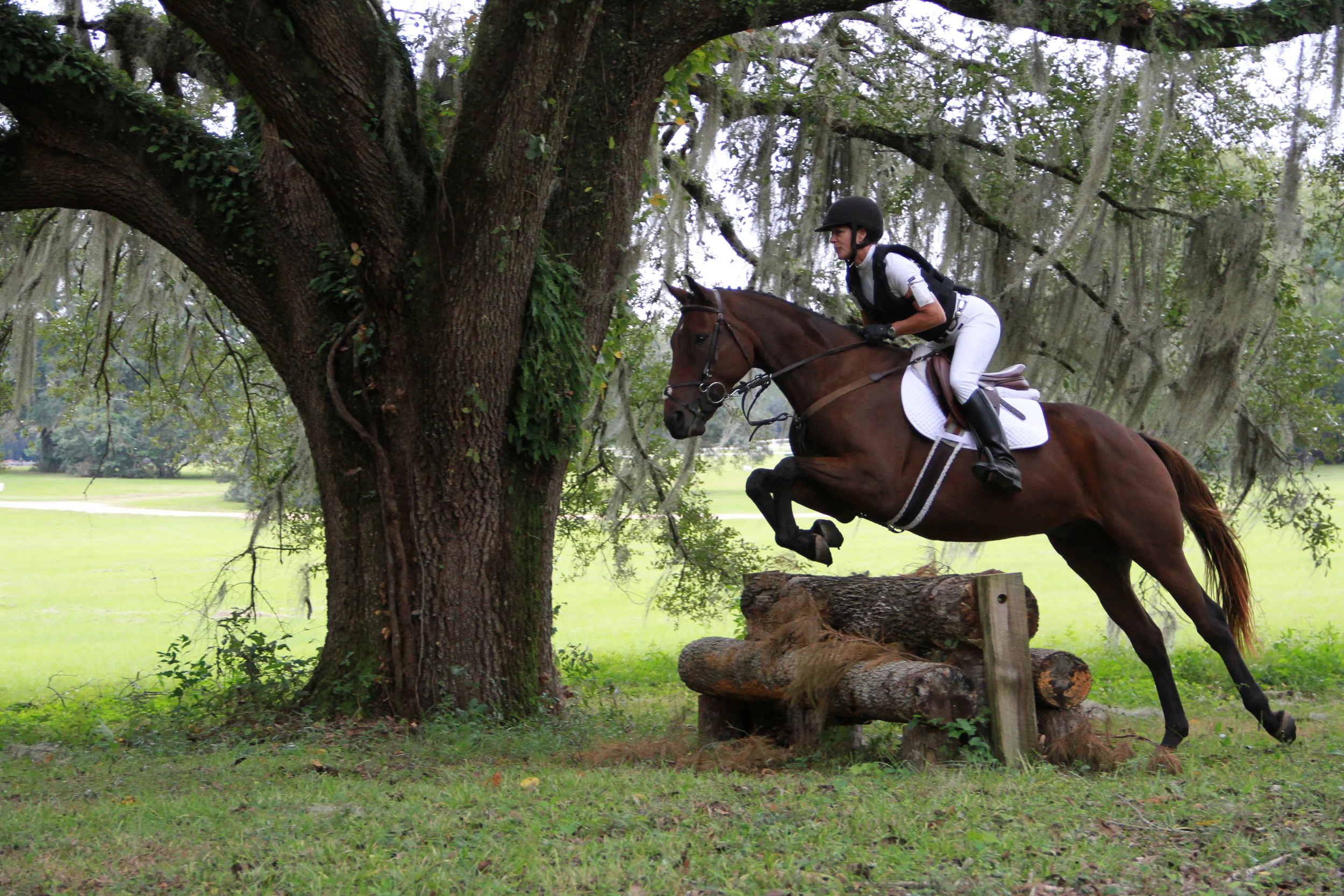 Blue Moon Productions | Saint Paul MN