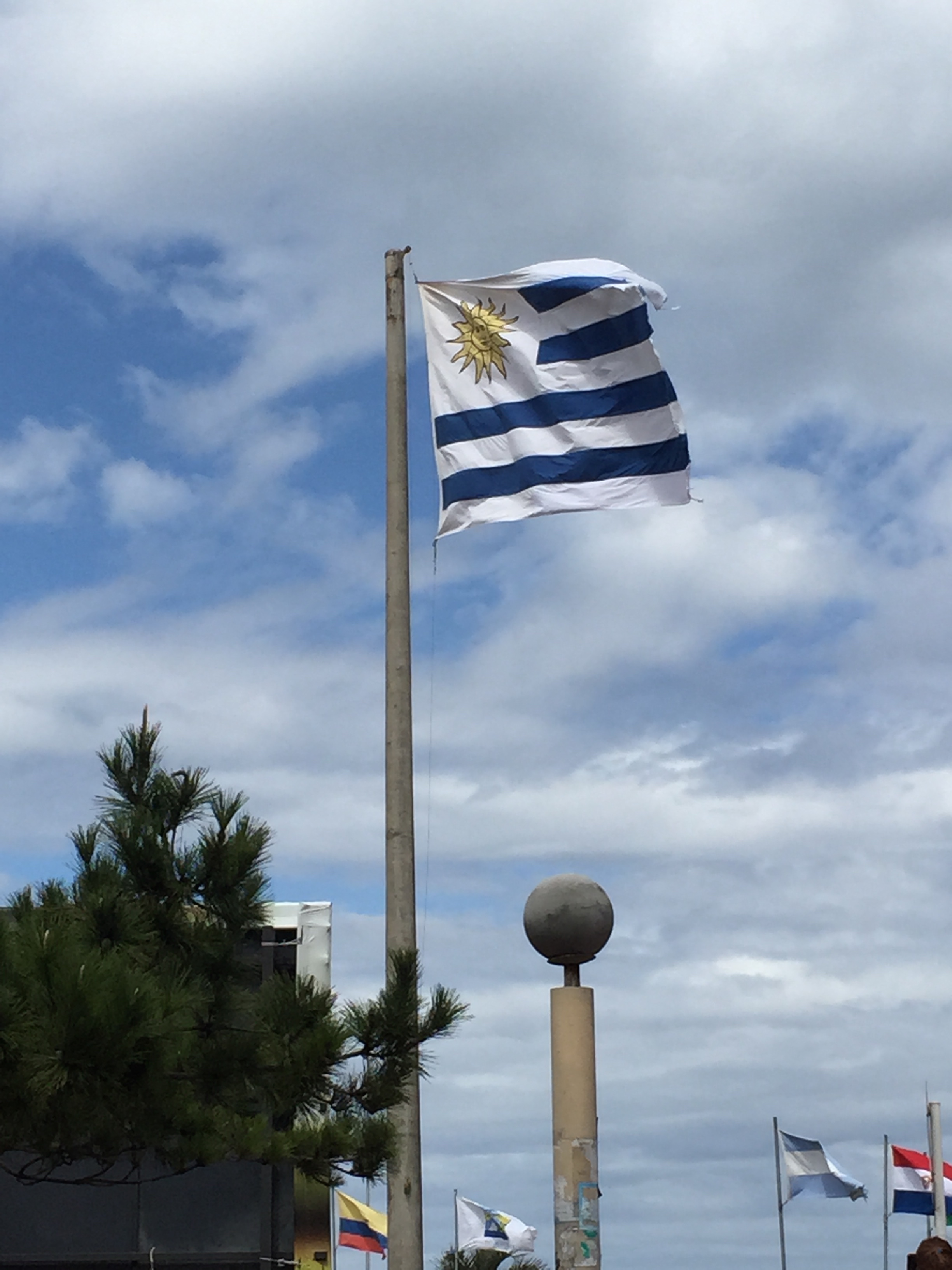 stock-photo-la-bandera-uruguayo-104136065.jpg