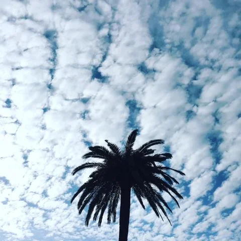 Darling Vacations in Lisbon, Portugal!