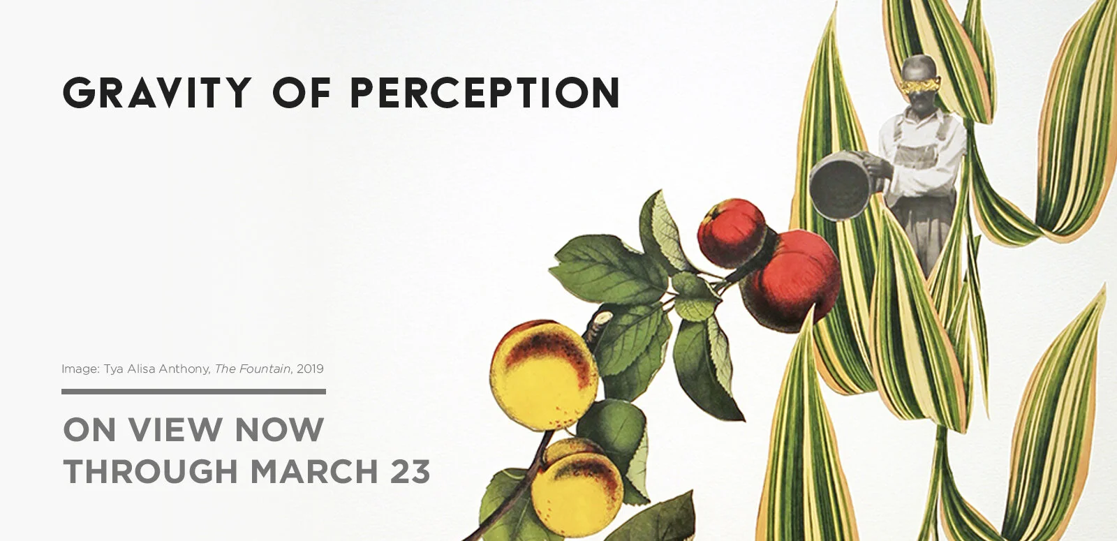 Gravity of Perception_Homepage single image Tya.jpg