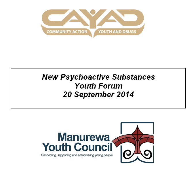 Manurewa Youth Council LAPP submission (Auckland)