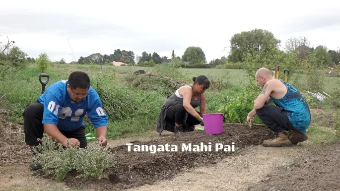 TANGATA MAHI PAI PILOT