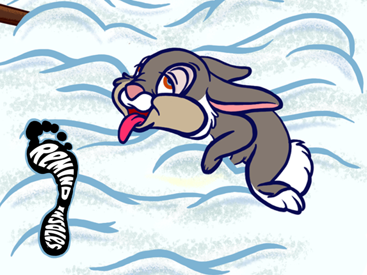 REMIND_INSOLE.png