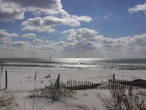 Florida.jpg