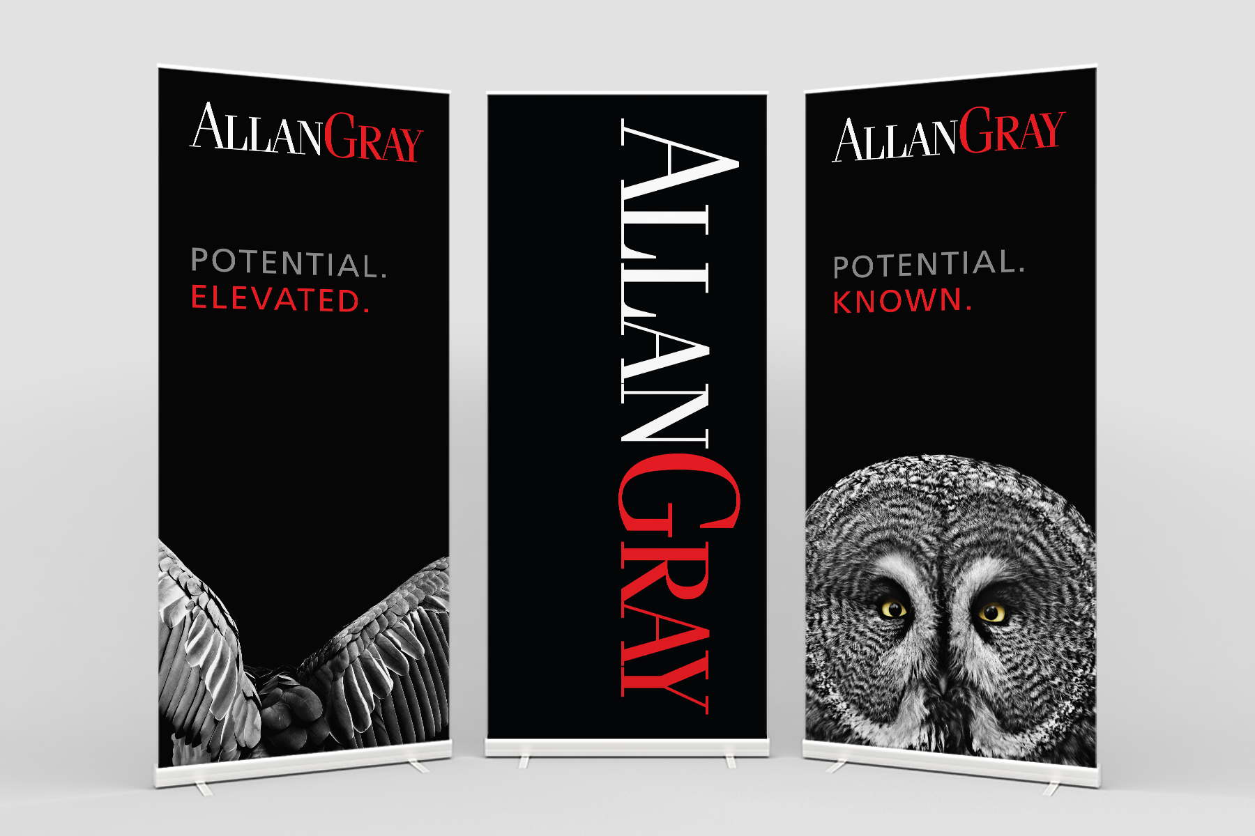 Pull-up Banners