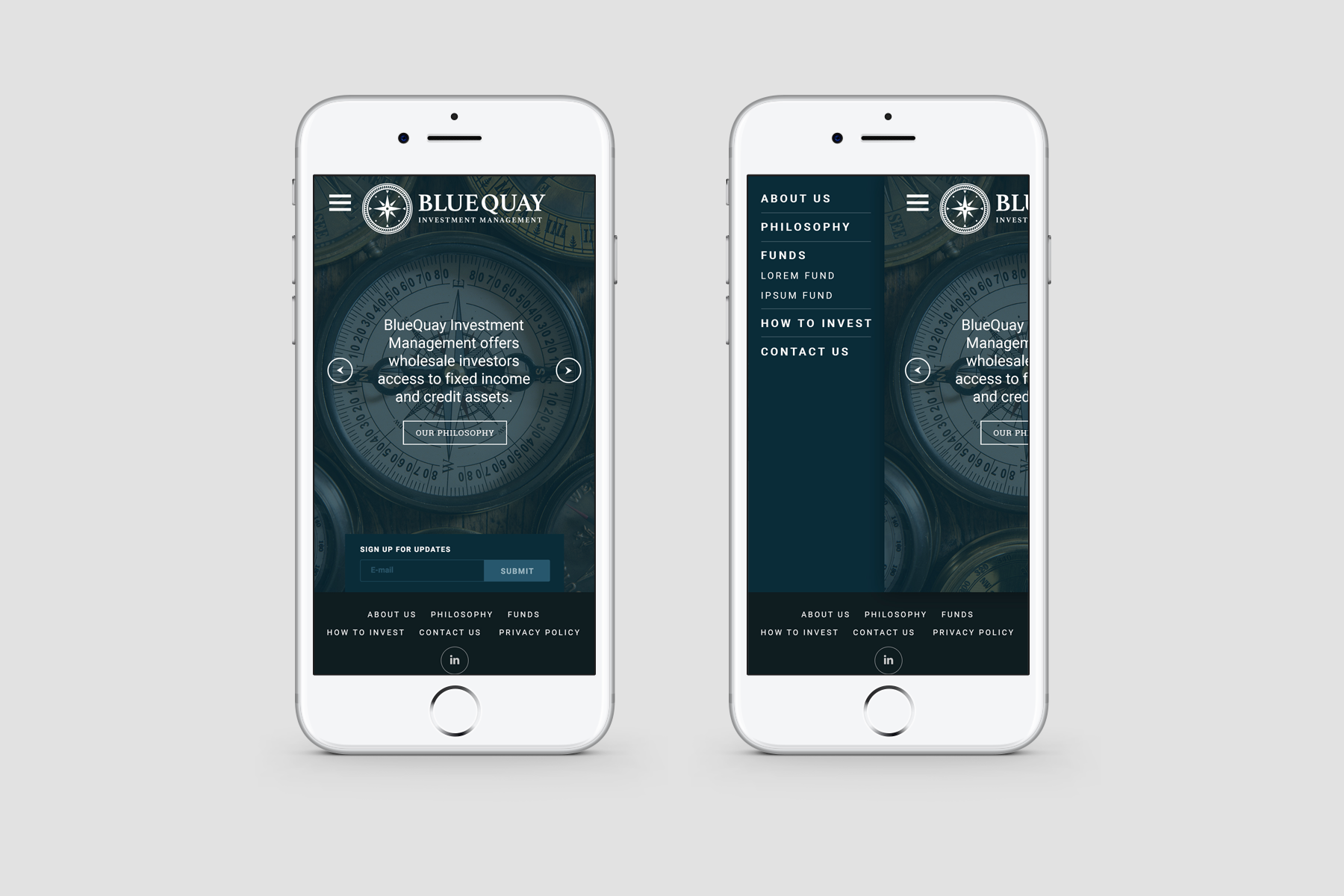 bluequay-website-mobile.png