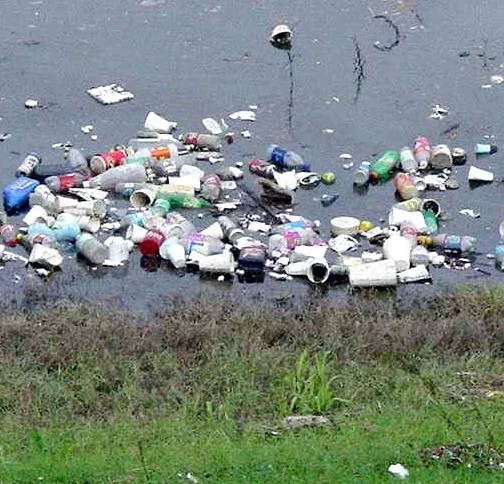 Floating beverage containers and litter_1.jpg