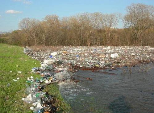 McKellar Lake trash.jpg
