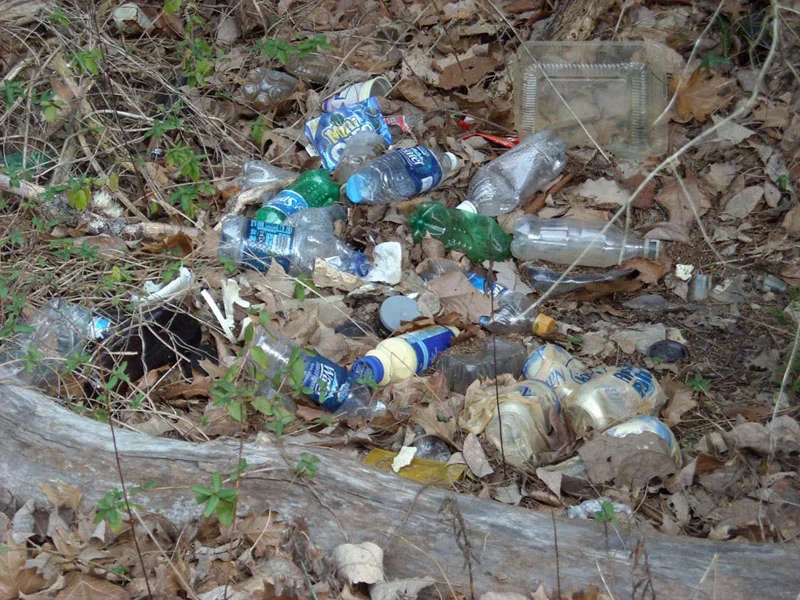 Priest Lake litter.jpg
