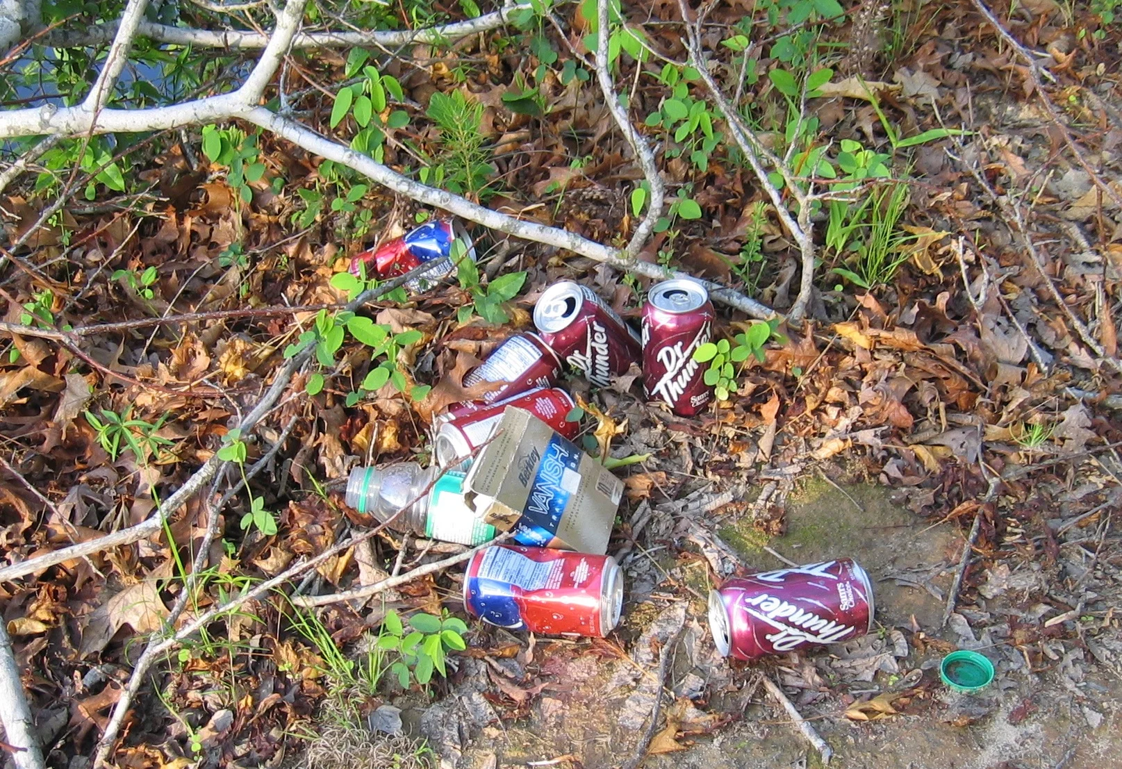 Wolf River trash.jpg