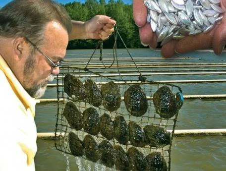 "I continue to be dedicated to this project and will purchase the first REDEMPTION CENTER." --Bob Keast, Tennessee River Pearl Farm